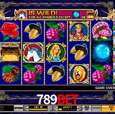Experiência VIP 789bet